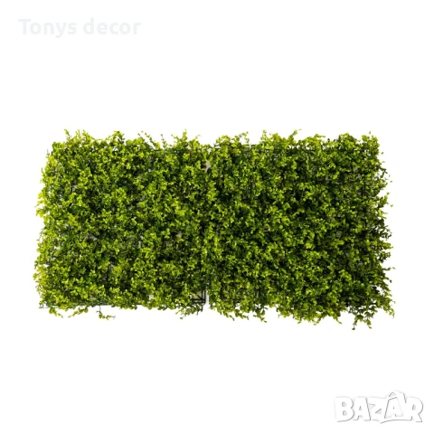 Зелено пано за стена Чимшир, 50*50см, НОВО, снимка 1