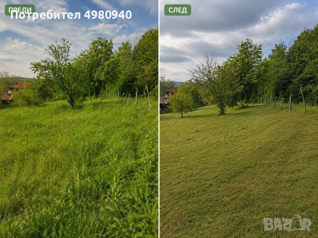 Почистване Дърводобив и Др, снимка 11 - Други - 56535230