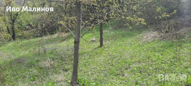 Продавам парцел в регулация , снимка 7 - Парцели - 46527339