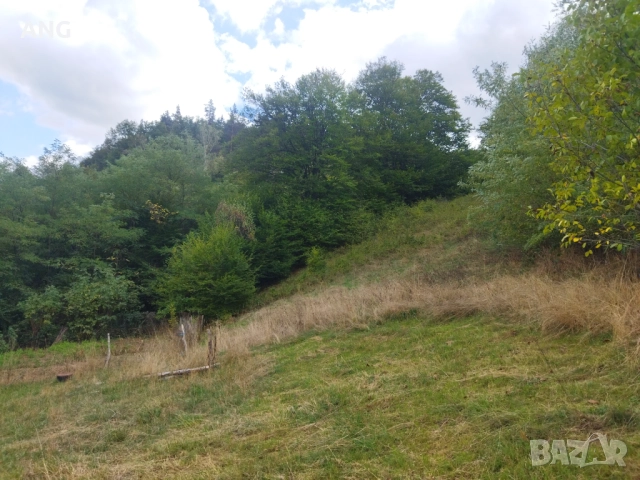 Продава парцел в гр.Смолян, снимка 11 - Парцели - 51940504