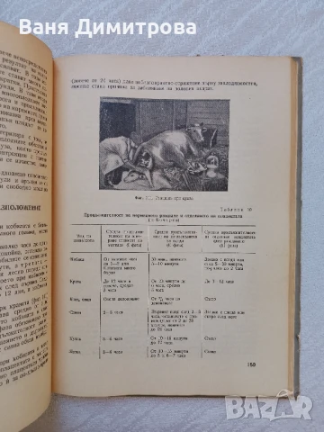 Акушерство на селскостопанските животни , снимка 9 - Специализирана литература - 51257240