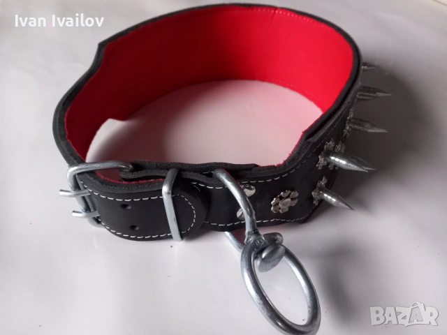 ПРОФЕСИОНАЛЕН кожен нашийник 8 см ширина – Естествена кожа / Шипове