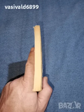 Мария Фортус - Алба регия , снимка 6 - Художествена литература - 47499998