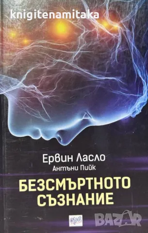 Безсмъртното съзнание - Ервин Ласло, снимка 1