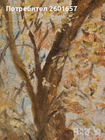 Красива стара картина масло в дървена рамка, снимка 3 - Картини - 47884294