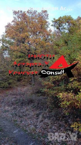 Астарта-Х Консулт продава горски парцел в с.Горно Брястово, снимка 3 - Парцели - 37397142