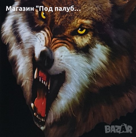 Нова детска тениска с дигитален печат Зъбат вълк, Серия Вълци, снимка 9 - Детски тениски и потници - 29902524