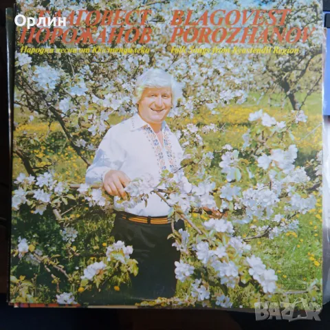 Грамофонни плочи - народна музика 3, снимка 16 - Грамофонни плочи - 49664947