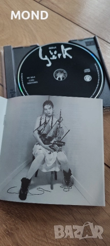 Björk - Debut, снимка 11 - CD дискове - 52857130