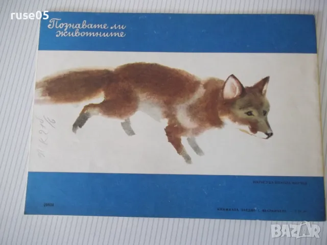 Списание "Славейче - книжка 10 - 1967 г." - 16 стр., снимка 6 - Списания и комикси - 47648845