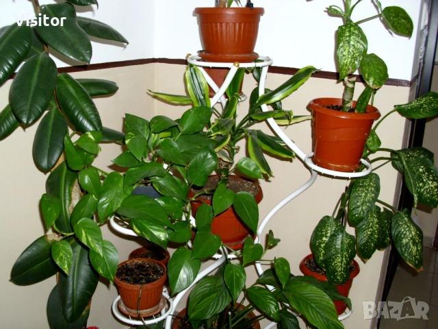 BenQ DC C1035   10 мрХ, снимка 14 - Фотоапарати - 54282156