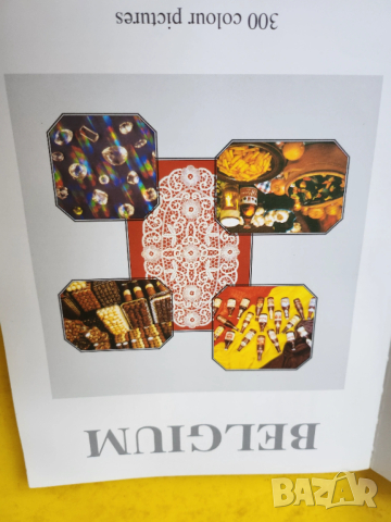 Белгия и БЕНЕЛЮКС (2 пътеводителя)-Екскурзии по поръчка/Excursions a la carte/Belgium 300 color phot, снимка 9 - Енциклопедии, справочници - 37551804