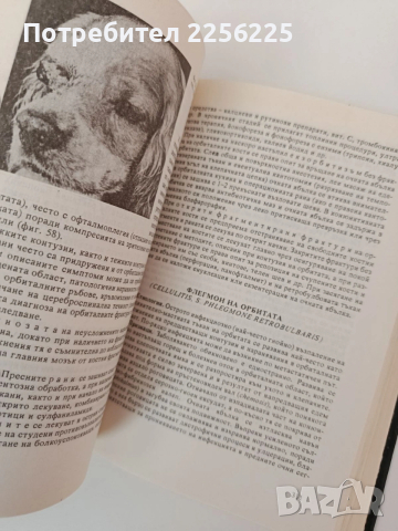 Болести при кучето, снимка 2 - Специализирана литература - 54317311