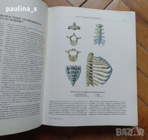Атлас по анатомия на опорно-двигателния апарат на Синельников, снимка 3 - Специализирана литература - 42266262