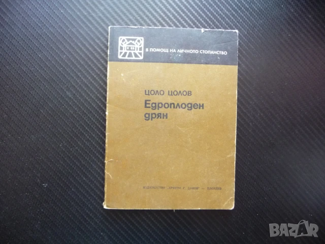 Едроплоден дрян Цоло Цолов отглеждане торене бране компот плод