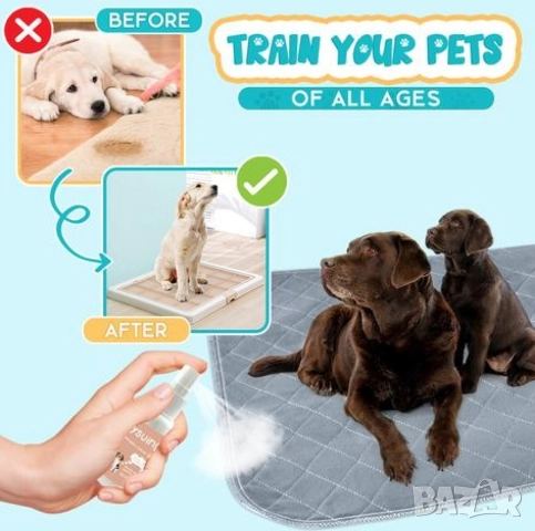 Спрей за обучение на гърне за домашни любимци , снимка 5 - За кучета - 52751791