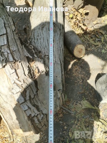 Орехов материал , снимка 12 - Дърводелски услуги - 34289041