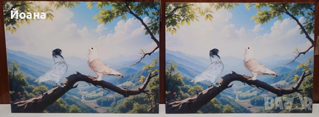 60x40см пвц пана декорация за стена, снимка 5 - Пана - 52462532