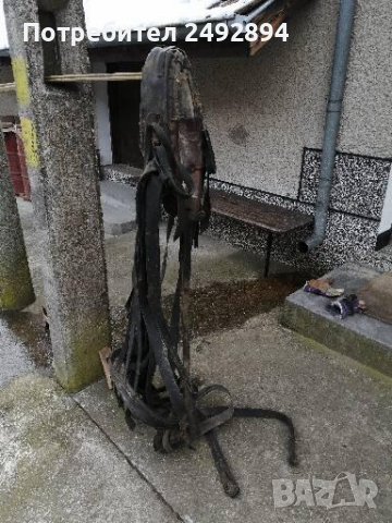 Конски хамут , снимка 7 - Други животни - 37651566