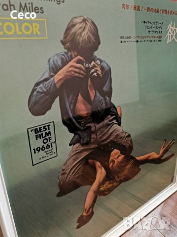 Ретро Vintage Постер с размер 50/70 на филма Blow Up на Микеланджело Антониони от 1966г. Рамка Ikea