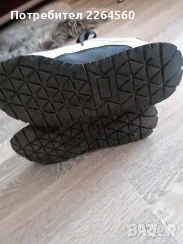 Eva Longoria I Adidas N37 i 38.5, снимка 3 - Маратонки - 50128466