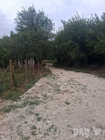 Има потенциал за много голяма промяна, снимка 3 - Земеделска земя - 56214893