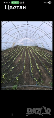 Оранжерии на 3г. + найлон, снимка 5 - Оранжерии - 53009529