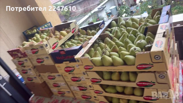 Круши на килограм, снимка 2 - Домашни продукти - 56457470