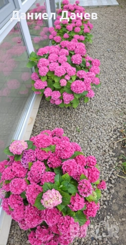 Тристаен апартамент в Свети Влас, снимка 13 - Апартаменти - 47210097