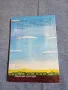 Бранимир Шчепанович - Уста, пълна с пръст , снимка 3