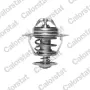 Термостат за FORD,LANCIA,MAZDA,MITSUBISHI,NISSAN № 6319,82, снимка 1