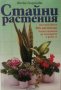 Жечка Георгиева - Стайни растения, снимка 1 - Специализирана литература - 28994151