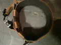 Оригинален професионален K9 нашийник Modern Icon Rigid Collar - 5 см, снимка 1