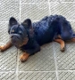Френски булдог (Big rope fluffy) За разплод , снимка 3