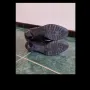 Дамски ботуши естествена кожа, снимка 2