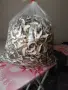 Суха Манатарка Сезон 2026, снимка 4