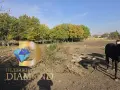 Парцел в село Плодовитово, обл. Стара Загора, снимка 1