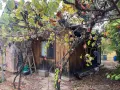Продава се къща в Лиляшка Могила, снимка 1