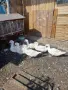 продавам патици, снимка 6
