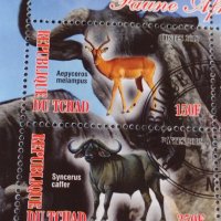 Пощенски марки  чиста комплектна серия ЖИВОТНИ поща Република Чад за колекция 29538, снимка 7 - Филателия - 37780459