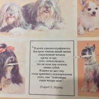 Декоративные собаки, снимка 3 - Антикварни и старинни предмети - 38245608