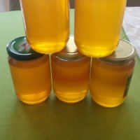 Био мед и пчелен клей от малък производител