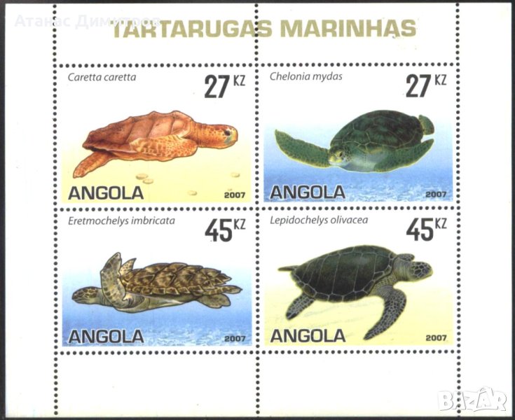 Чисти марки в малък лист Фауна Костенурки 2007 от Ангола, снимка 1