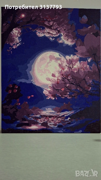 Рисуване по номера , снимка 1