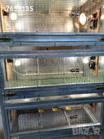 Пилета, Петли и пъдпъдъци , снимка 17 - други­ - 32977740