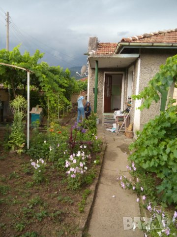 Продавам къща с. Ново Янково, снимка 7 - Къщи - 38428015