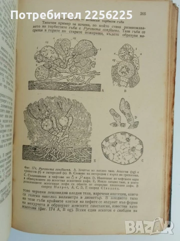 Земеделска ботаника 1947г, снимка 2 - Специализирана литература - 51165729