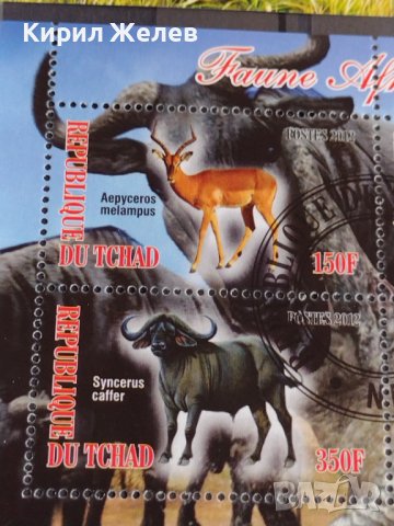 Пощенски марки  чиста комплектна серия ЖИВОТНИ поща Република Чад за колекция 29538, снимка 7 - Филателия - 37780459