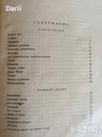 Пионерски лагер. Стихотворения-гатанки-хумор- Атанас Душков, снимка 2 - Детски книжки - 42792105