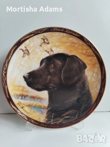 Royal Doulton- колекционерска чиния, снимка 2 - Колекции - 52118493